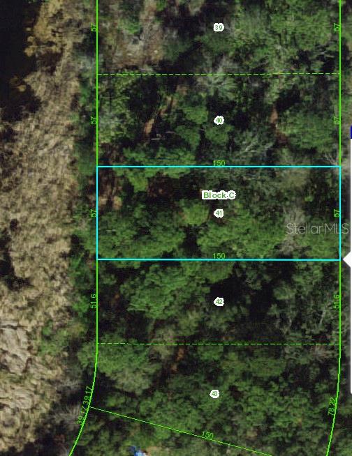 0 Craig Loop Hudson, FL 34667 - Photo 1 of 1