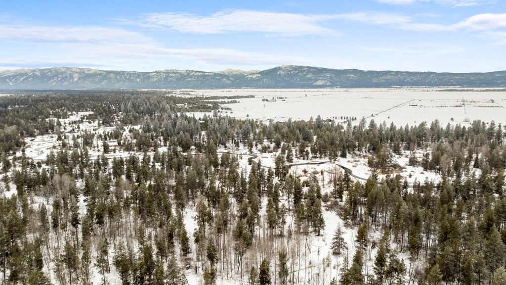 Tbd Elk Haven Way, Unit 1 McCall, ID 83638 - Photo 11 of 27