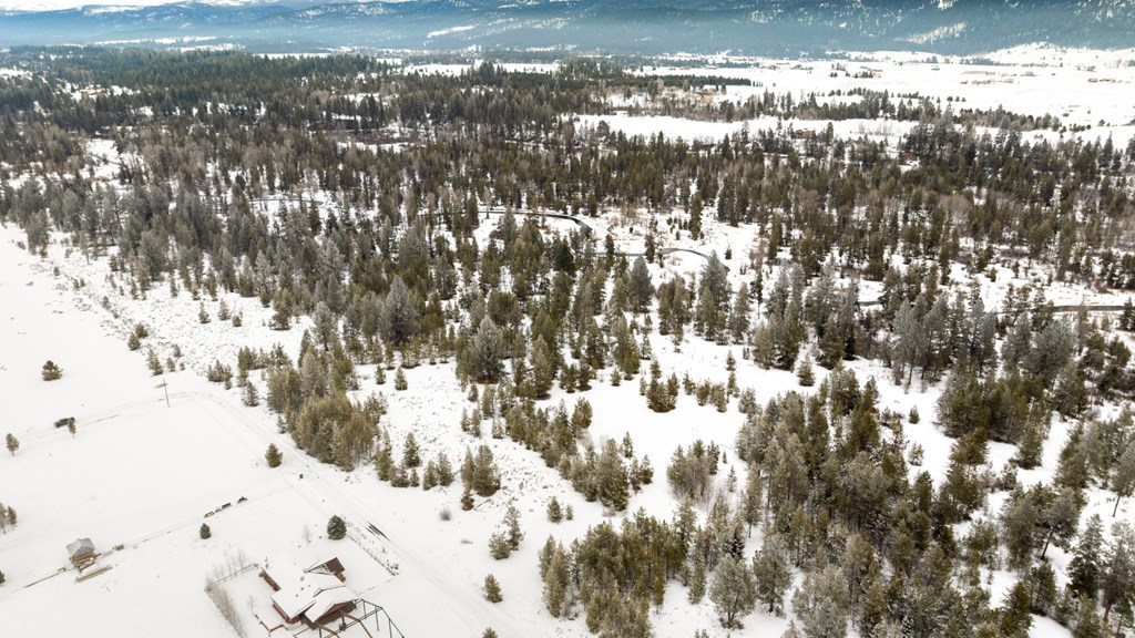 Tbd Elk Haven Way, Unit 1 McCall, ID 83638 - Photo 12 of 27