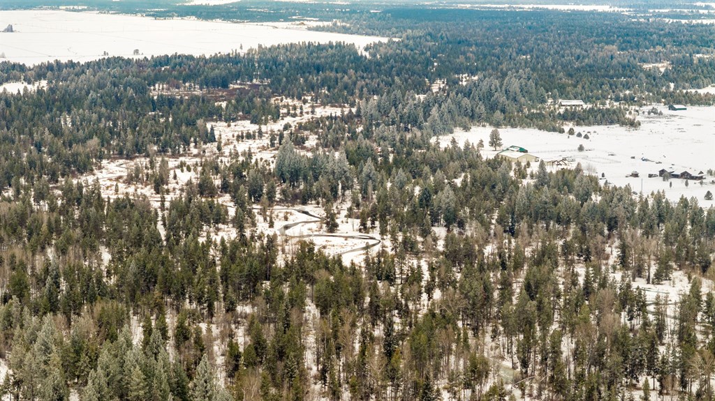 Tbd Elk Haven Way, Unit 1 McCall, ID 83638 - Photo 14 of 27