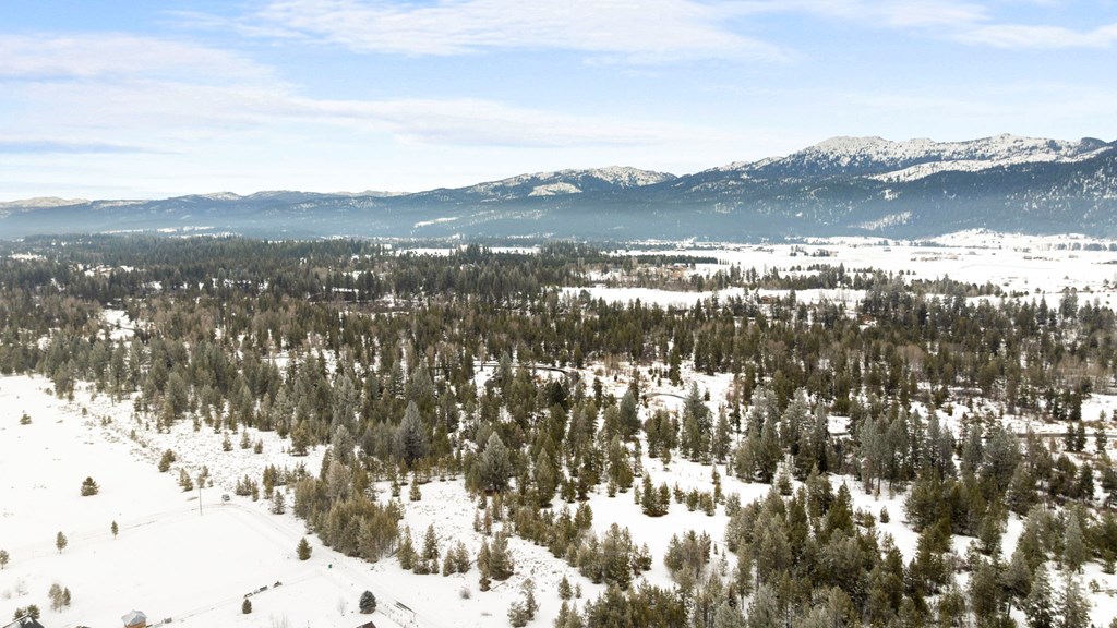 Tbd Elk Haven Way, Unit 1 McCall, ID 83638 - Photo 17 of 27