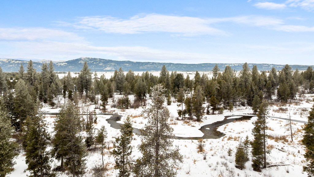 Tbd Elk Haven Way, Unit 1 McCall, ID 83638 - Photo 22 of 27