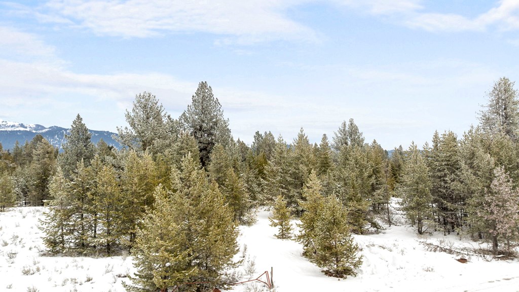 Tbd Elk Haven Way, Unit 1 McCall, ID 83638 - Photo 23 of 27