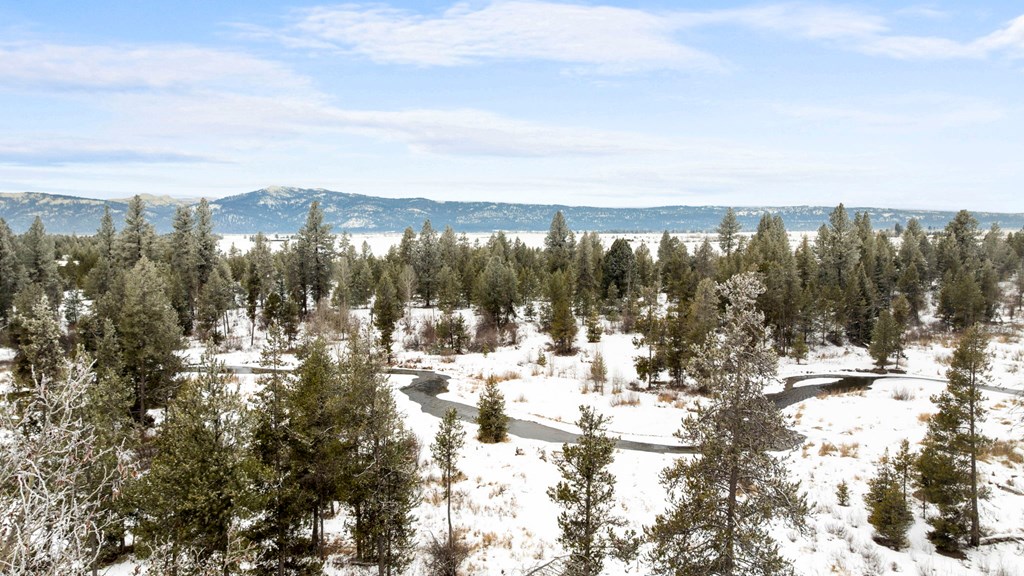 Tbd Elk Haven Way, Unit 1 McCall, ID 83638 - Photo 3 of 27