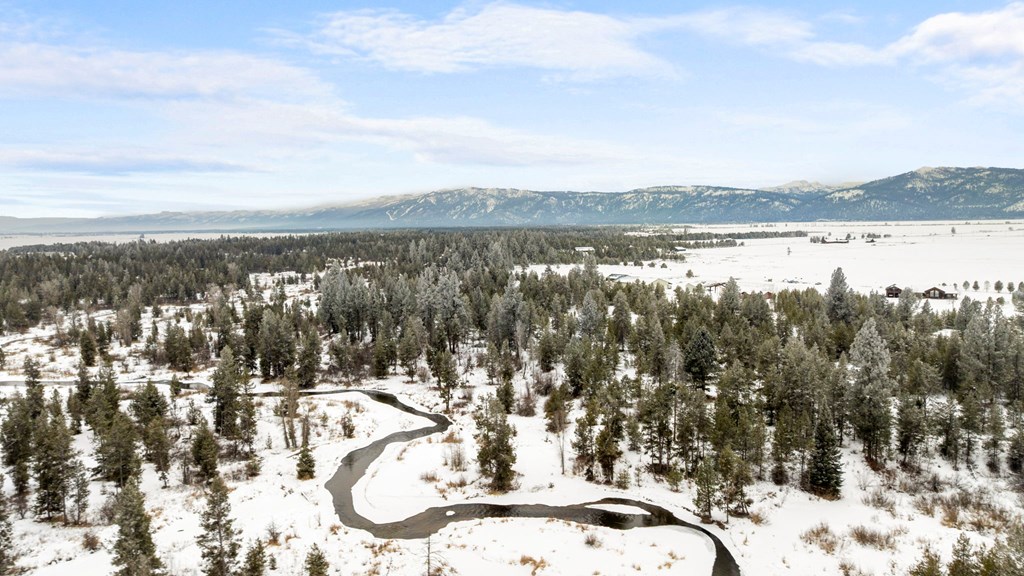 Tbd Elk Haven Way, Unit 1 McCall, ID 83638 - Photo 4 of 27