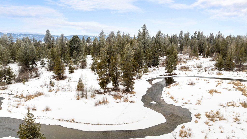 Tbd Elk Haven Way, Unit 1 McCall, ID 83638 - Photo 6 of 27