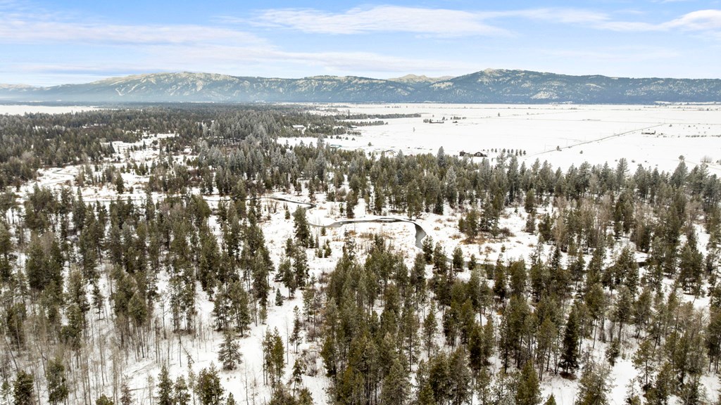 Tbd Elk Haven Way, Unit 1 McCall, ID 83638 - Photo 8 of 27