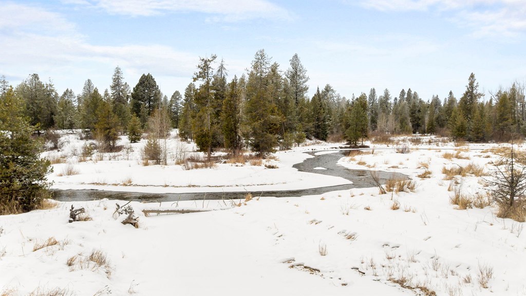 Tbd Elk Haven Way, Unit 1 McCall, ID 83638 - Photo 9 of 27