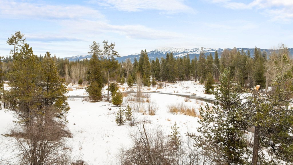 Tbd Elk Haven Way, Unit 1 McCall, ID 83638 - Photo 10 of 27