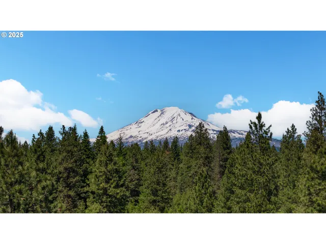 $999,000 | 26 Mountain View Lane, Trout Lake, WA 98650