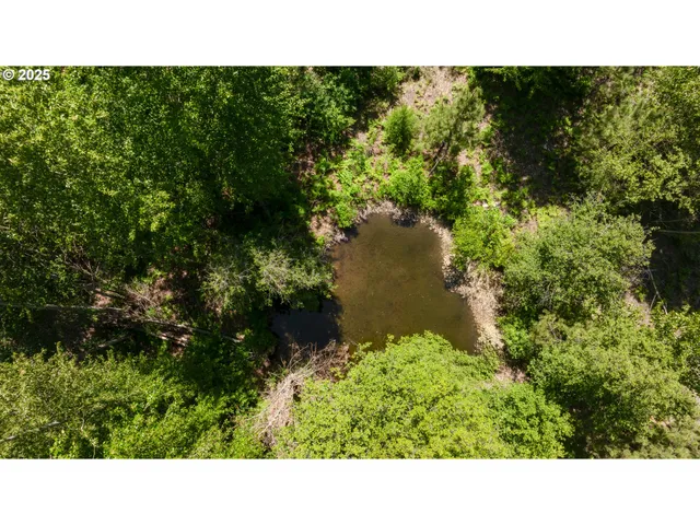 $999,000 | 26 Mountain View Lane, Trout Lake, WA 98650