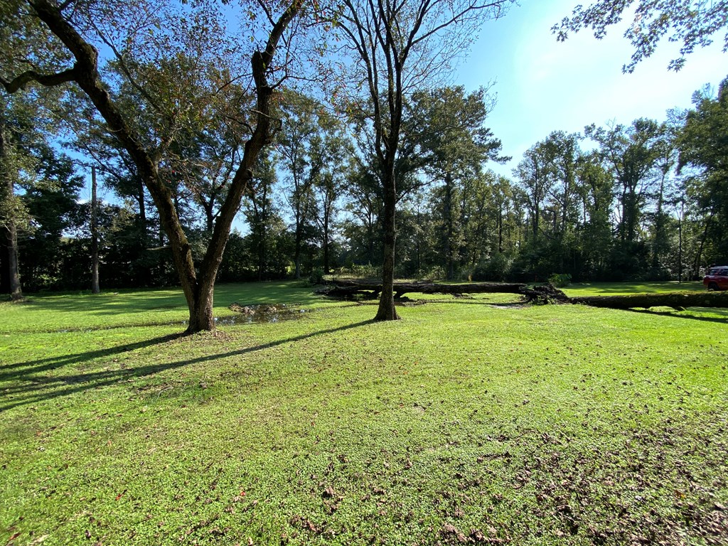 1234 Prevatt Road Dothan, AL 36301 - Photo 29 of 47 Gallery Image 29