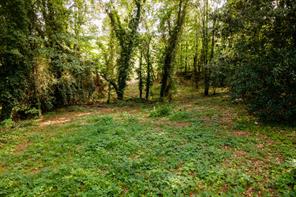 585 Mountain Road Westminster, SC 29693 - Photo 4 of 20 Discover a generous lot offering a peaceful, wooded setting perfect for a custom build.