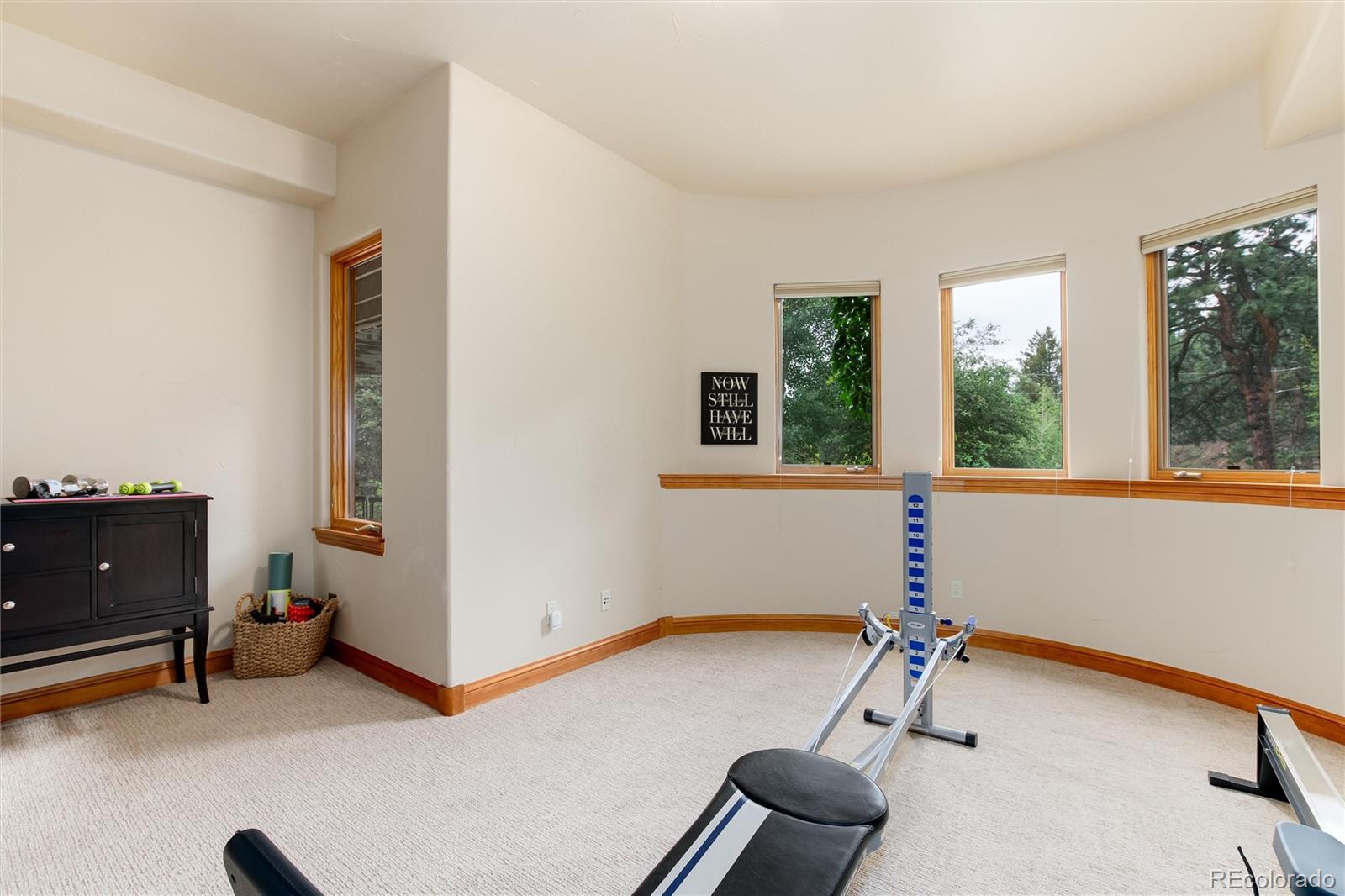 13685 Baird Road Conifer, CO 80433 - Photo 33 of 40