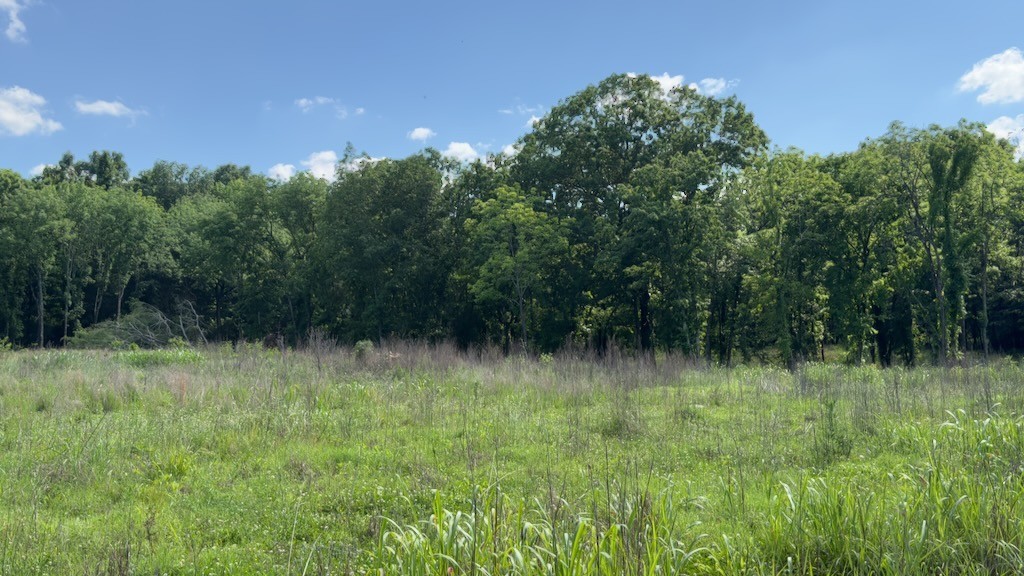 326 Hatcher Road Mount Juliet, TN 37122 - Photo 1 of 9 Gallery Image 1