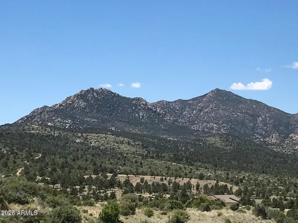 a view of a dry yard with mountains in the background