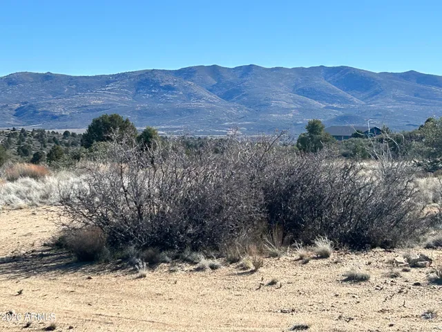 a view of a backyard with mountain view