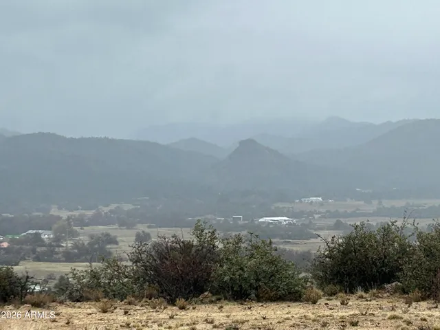 a view of a dry yard