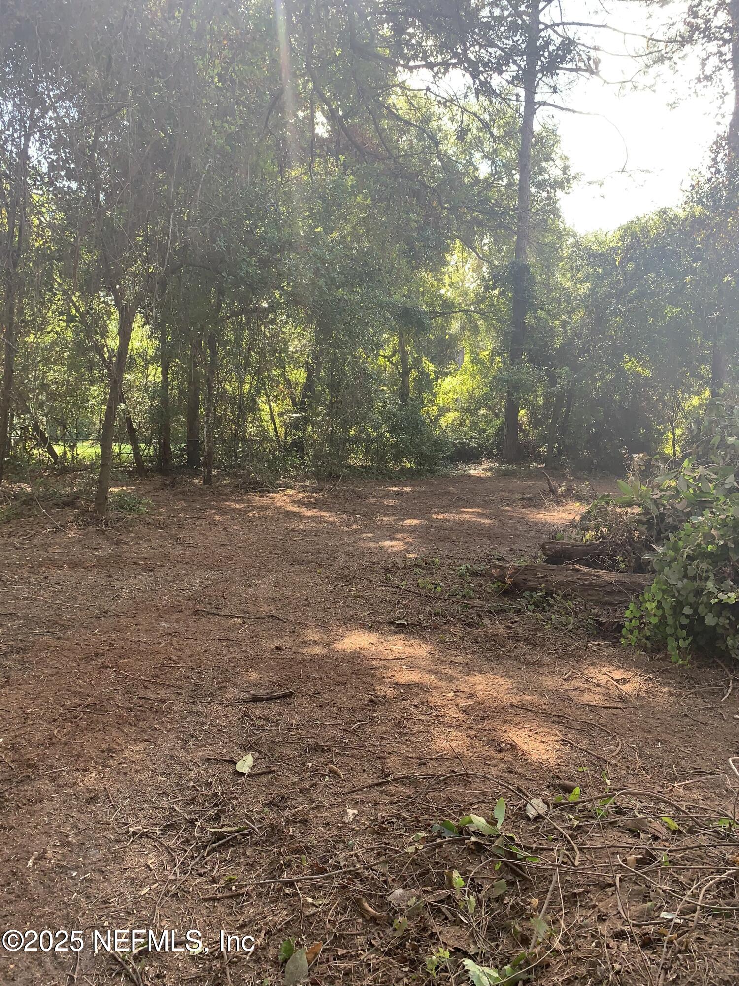 7579 Fremont Avenue Keystone Heights, FL 32656 - Photo 2 of 5 a view of a yard with trees