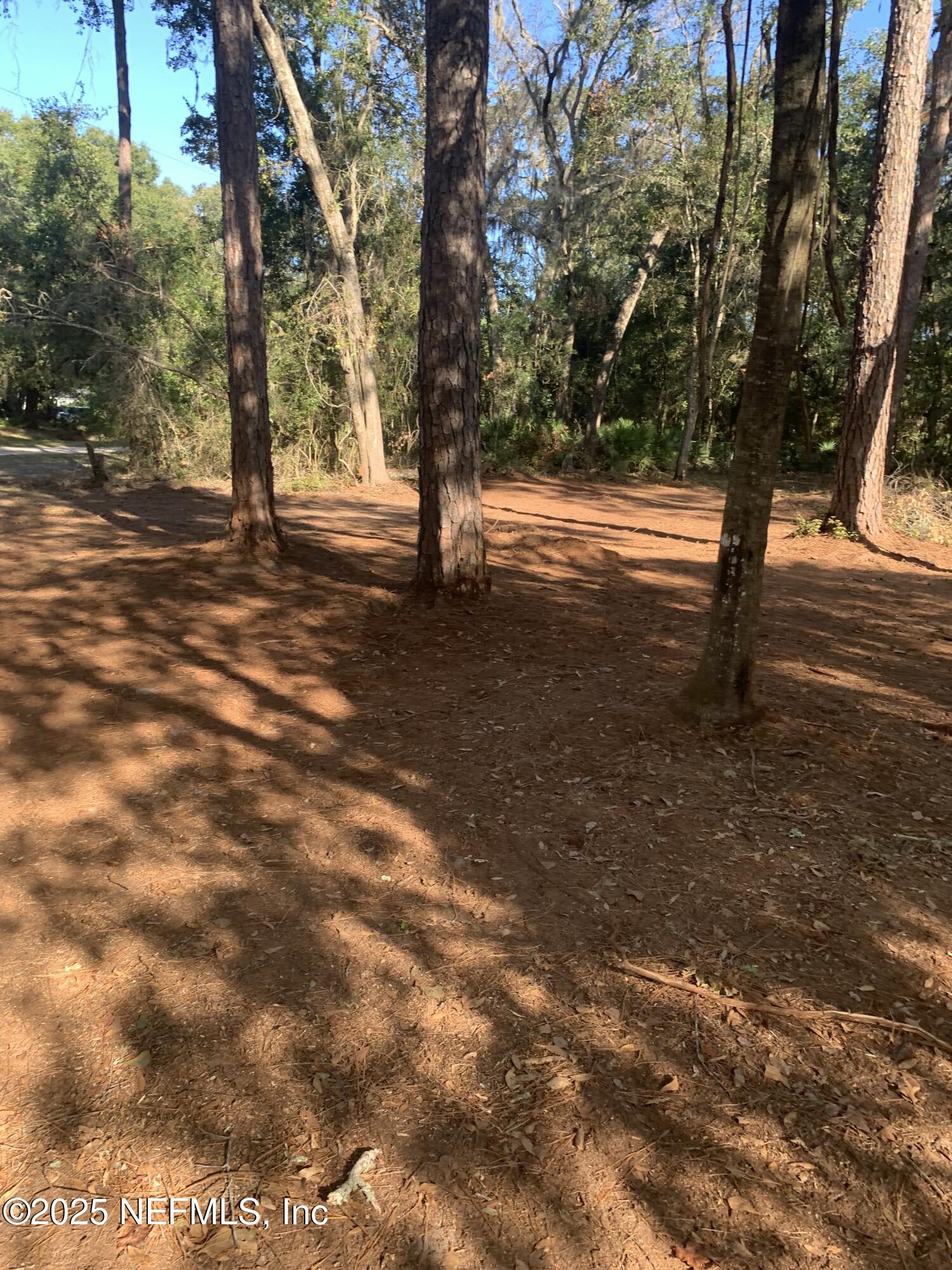 7579 Fremont Avenue Keystone Heights, FL 32656 - Photo 3 of 5 a view of outdoor space with trees