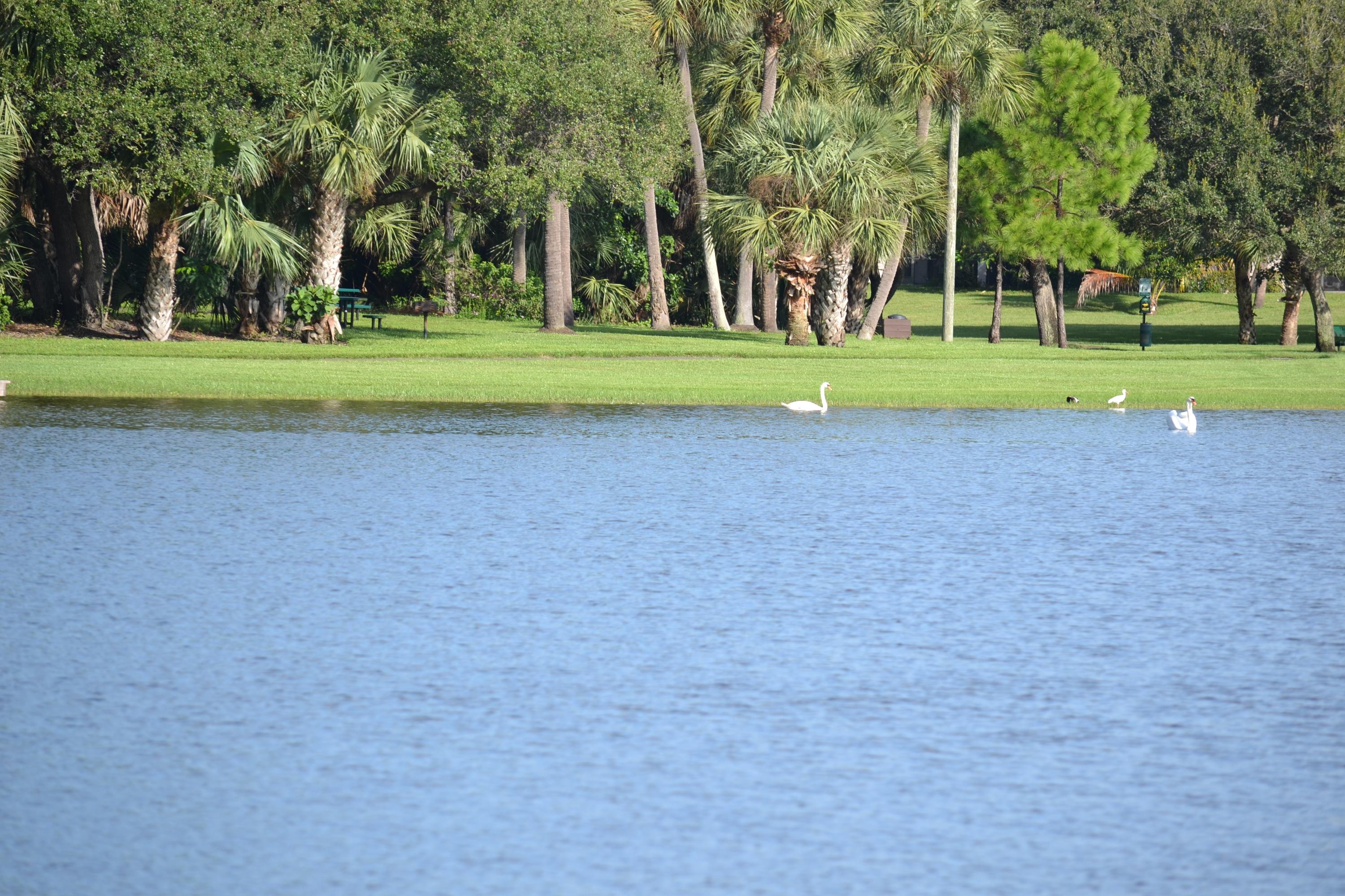 2600 Greenwood Terrace, Unit 112 Boca Raton, FL 33431 - Photo 14 of 28 Lake View from Patio