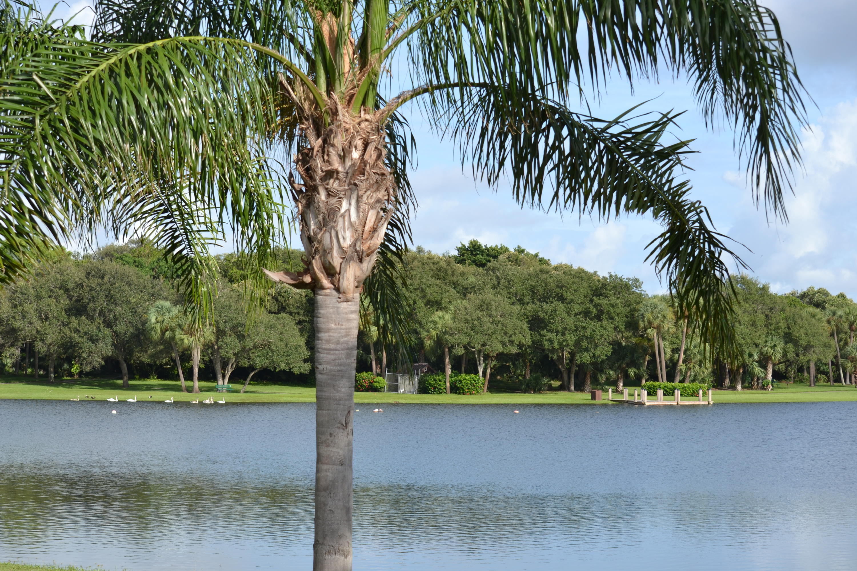 2600 Greenwood Terrace, Unit 112 Boca Raton, FL 33431 - Photo 24 of 28 Lake View from Condo
