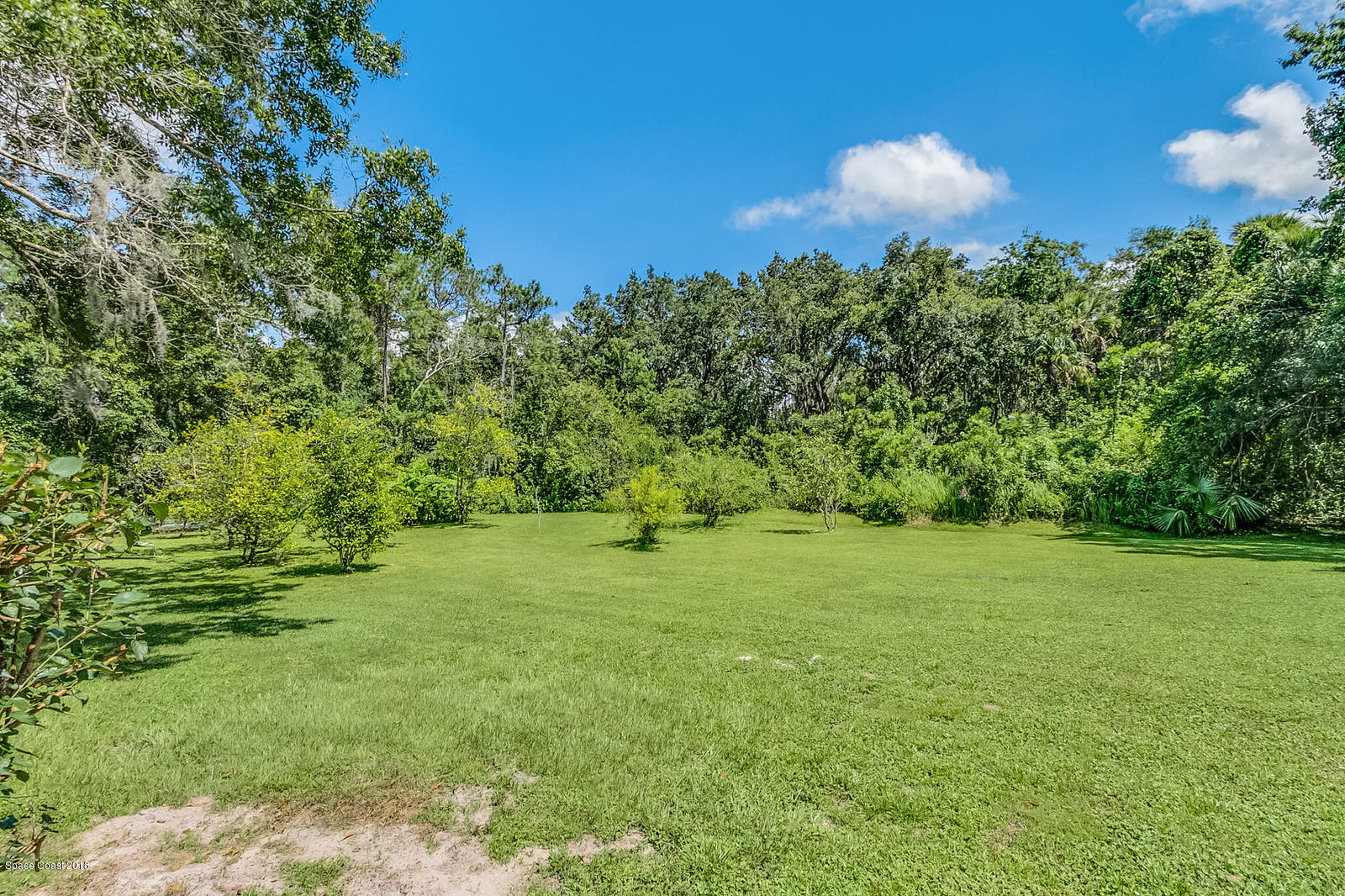 2555 Cox Road Cocoa, FL 32926 - Photo 29 of 42 Fruit Tree Orchard