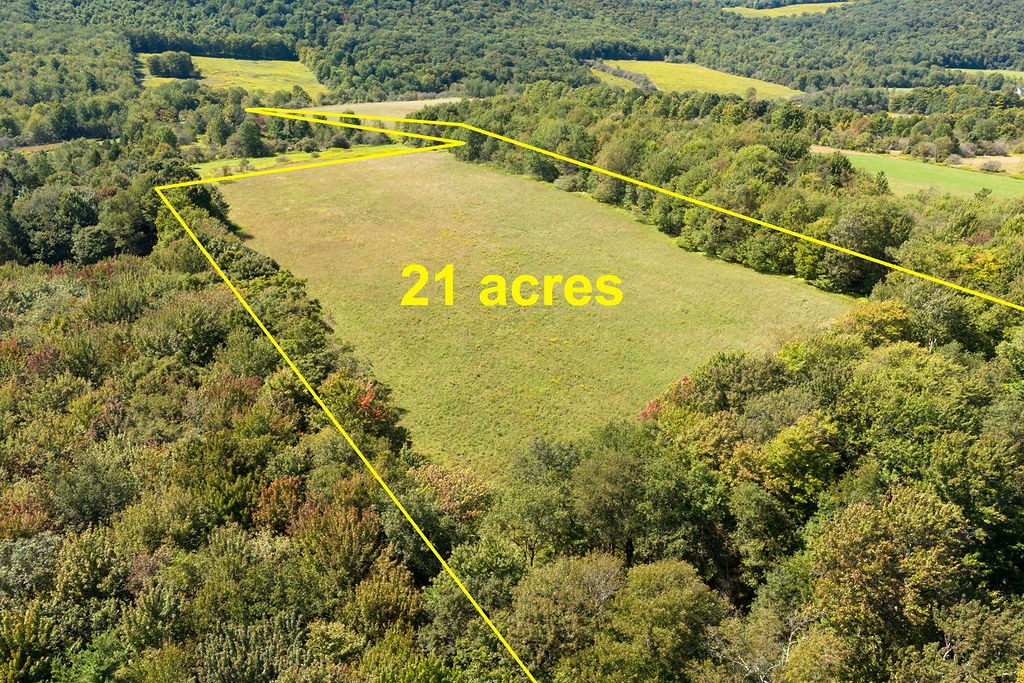 Lot 11 Warren Road Treadwell, NY 13846 - Photo 6 of 10