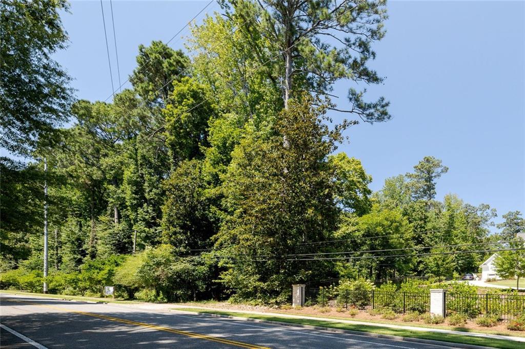 a view of a yard with plants and large trees
