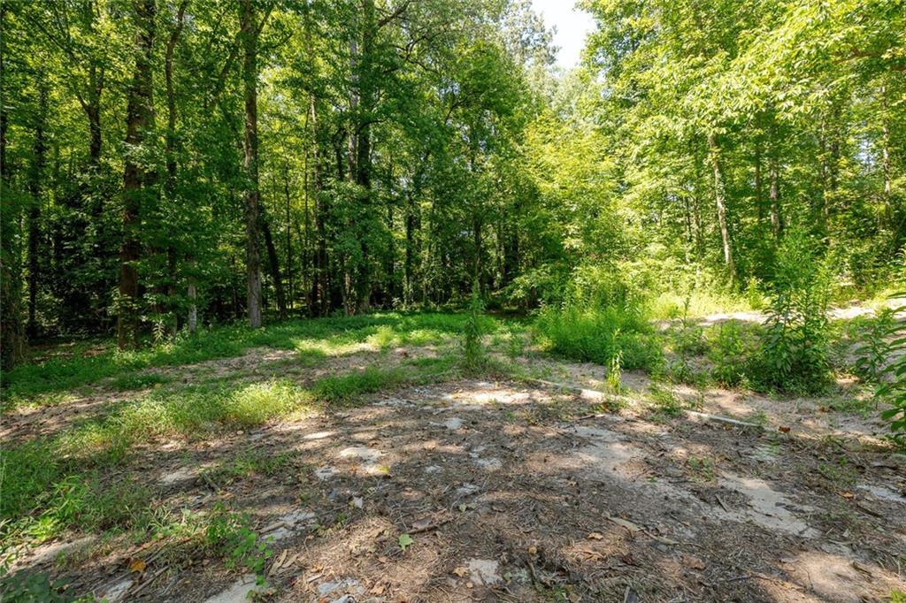 657 Willeo Road Roswell, GA 30075 - Photo 4 of 18 a view of a forest with trees in the background