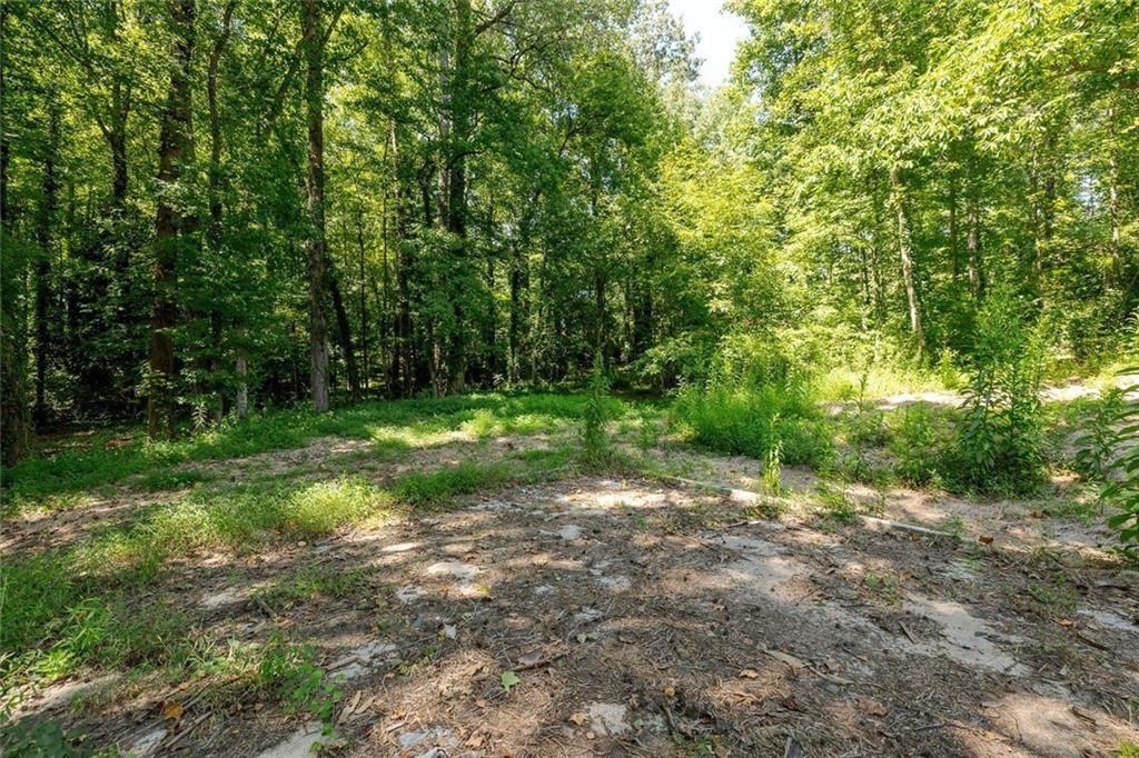 657 Willeo Road Roswell, GA 30075 - Photo 5 of 18 a view of a forest with trees in the background