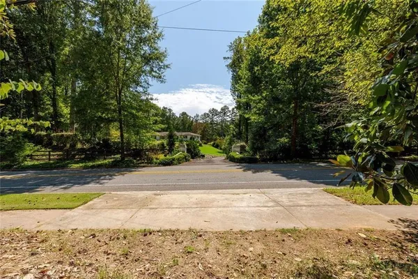 a view of a yard with plants and trees