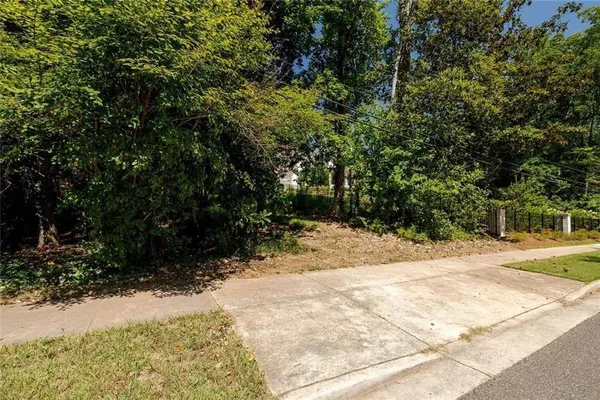 a view of a yard with plants and trees