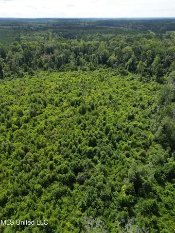 $149,999 | 0 Johns Shiloh Road, Brandon, MS 39042