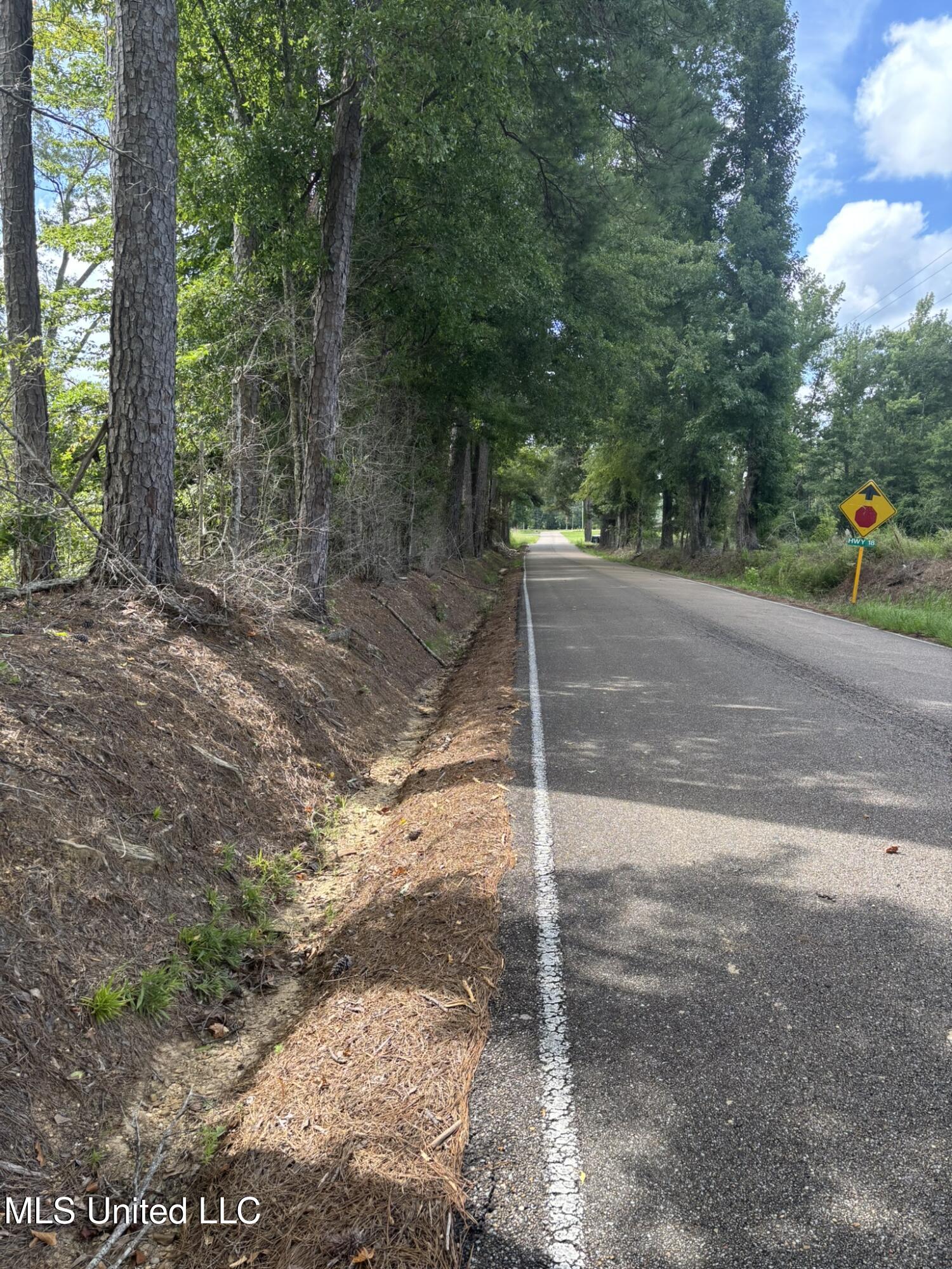 0 Johns Shiloh Road Brandon, MS 39042 - Photo 2 of 10 IMG_4145