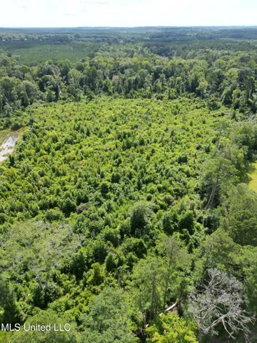 $149,999 | 0 Johns Shiloh Road, Brandon, MS 39042