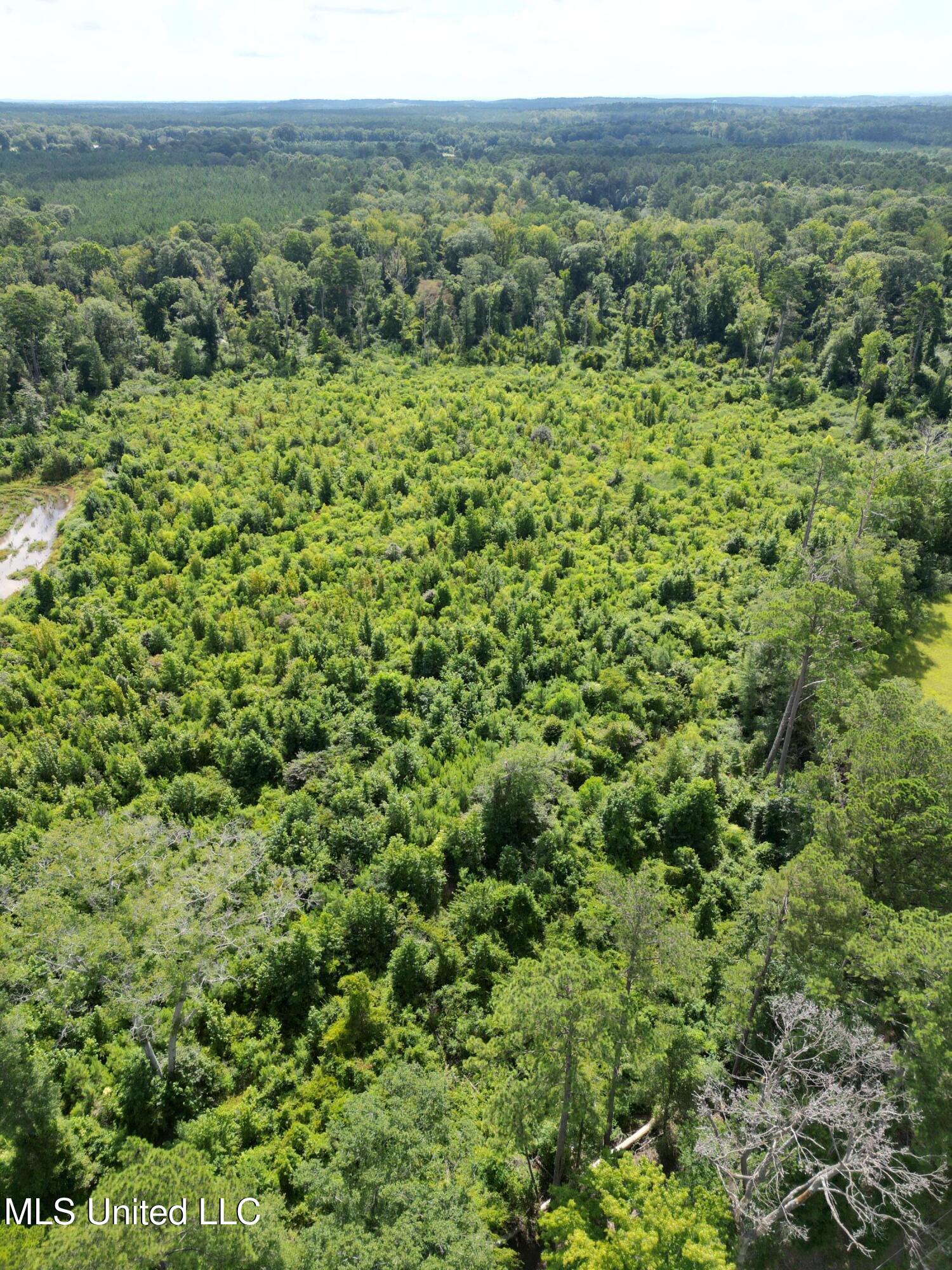 0 Johns Shiloh Road Brandon, MS 39042 - Photo 3 of 10 1