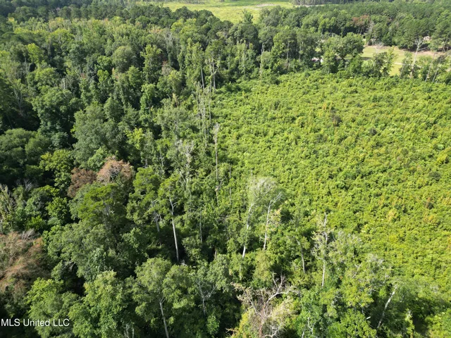 $149,999 | 0 Johns Shiloh Road, Brandon, MS 39042