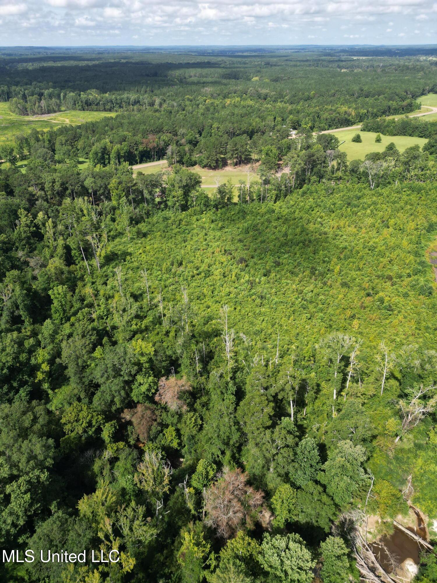 0 Johns Shiloh Road Brandon, MS 39042 - Photo 5 of 10 4