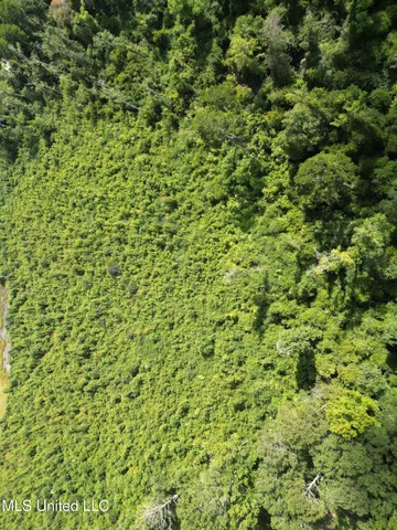 $149,999 | 0 Johns Shiloh Road, Brandon, MS 39042