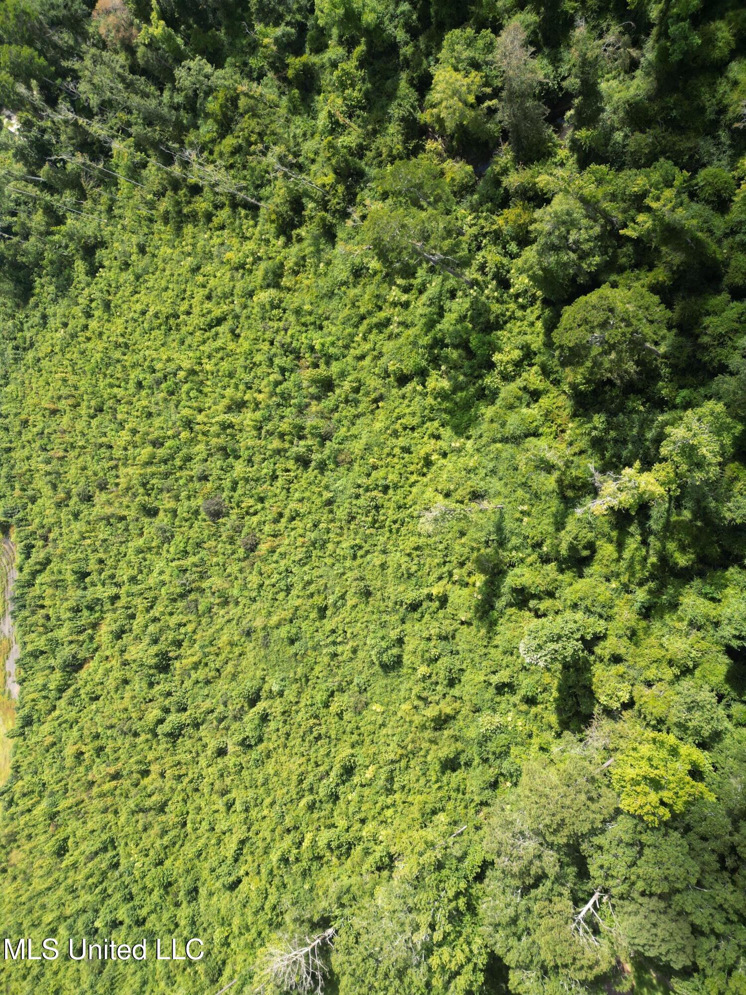 0 Johns Shiloh Road Brandon, MS 39042 - Photo 6 of 10 5