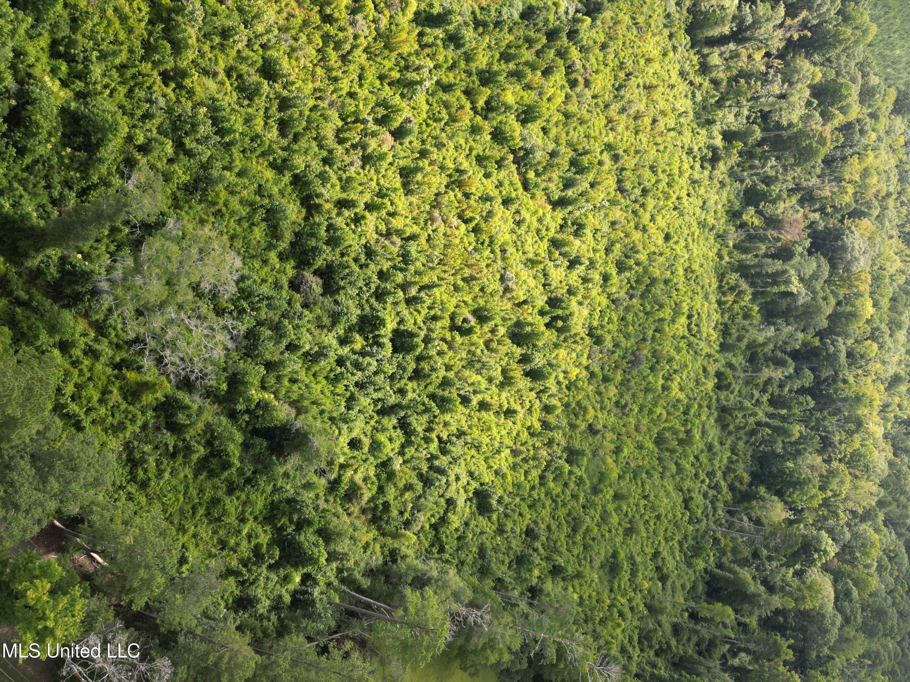 0 Johns Shiloh Road Brandon, MS 39042 - Photo 8 of 10 7