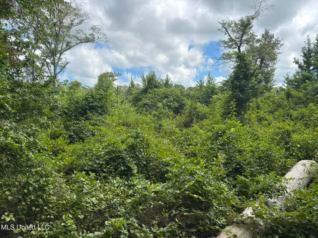 $149,999 | 0 Johns Shiloh Road, Brandon, MS 39042