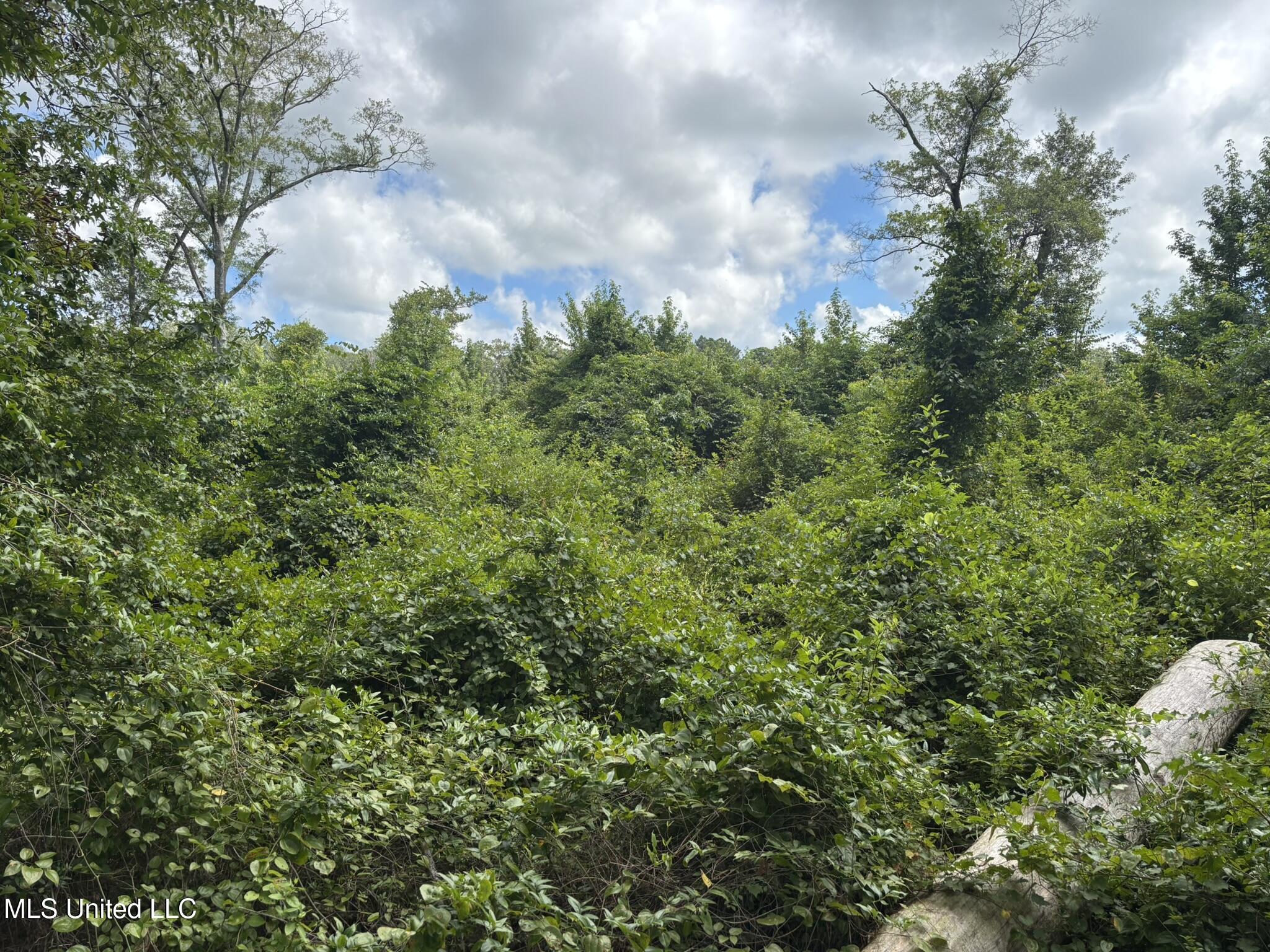 0 Johns Shiloh Road Brandon, MS 39042 - Photo 10 of 10 IMG_4146