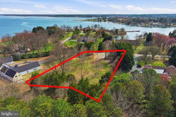 a view of a garden with an outdoor space