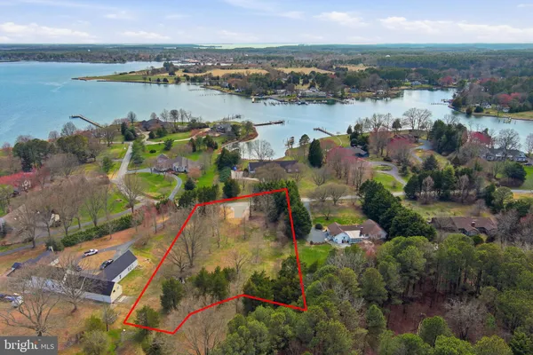 a view of a back yard