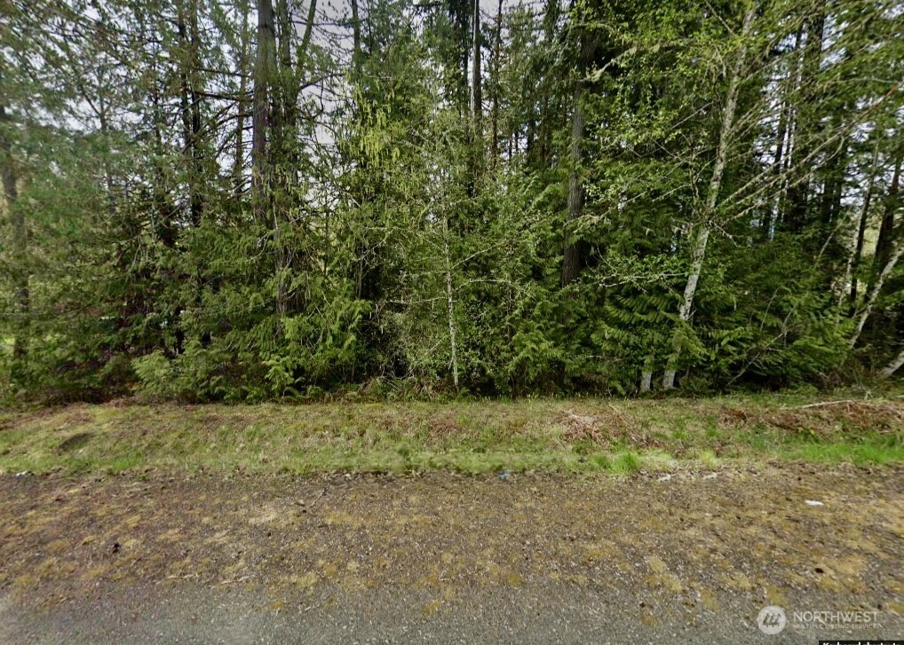 6080 Southeast Lynch Road Shelton, WA 98584 - Photo 8 of 33