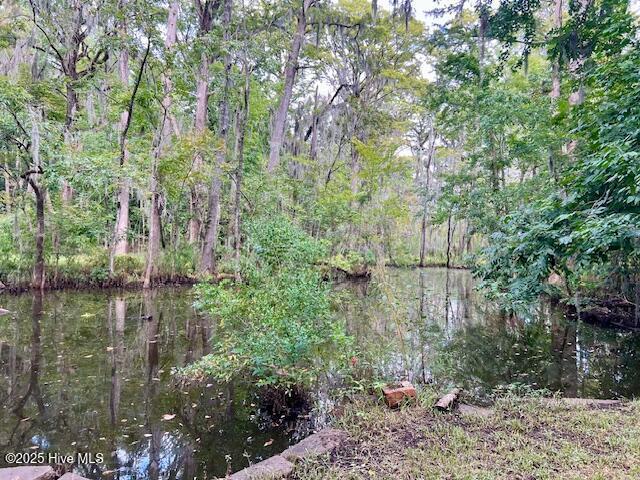 220 River Road Washington, NC 27889 - Photo 34 of 34 IMG_1037