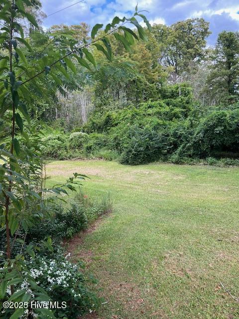 220 River Road Washington, NC 27889 - Photo 4 of 34 IMG_1006