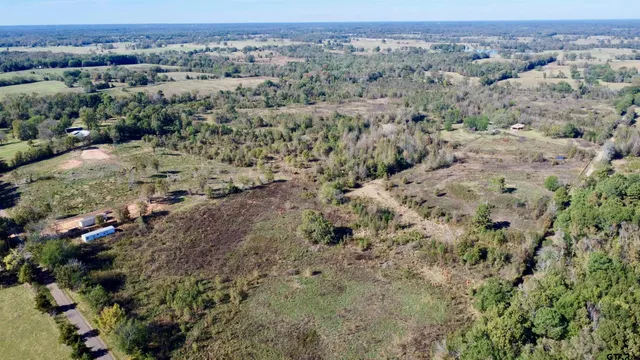 an aerial view of forest